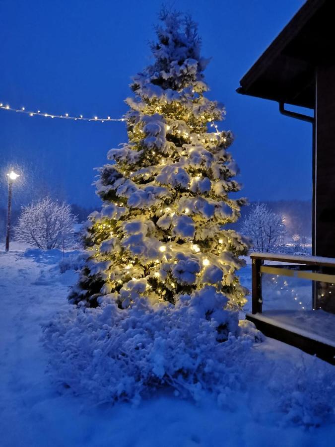 Kiurunrinne Villas Иматра Екстериор снимка